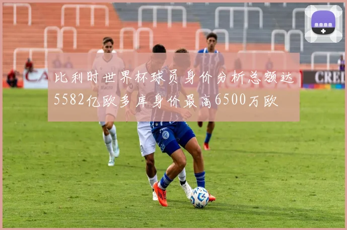 比利时世界杯球员身价分析总额达5582亿欧多库身价最高6500万欧
